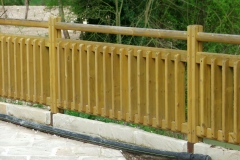 PS1-LEGNO-FRASASSI